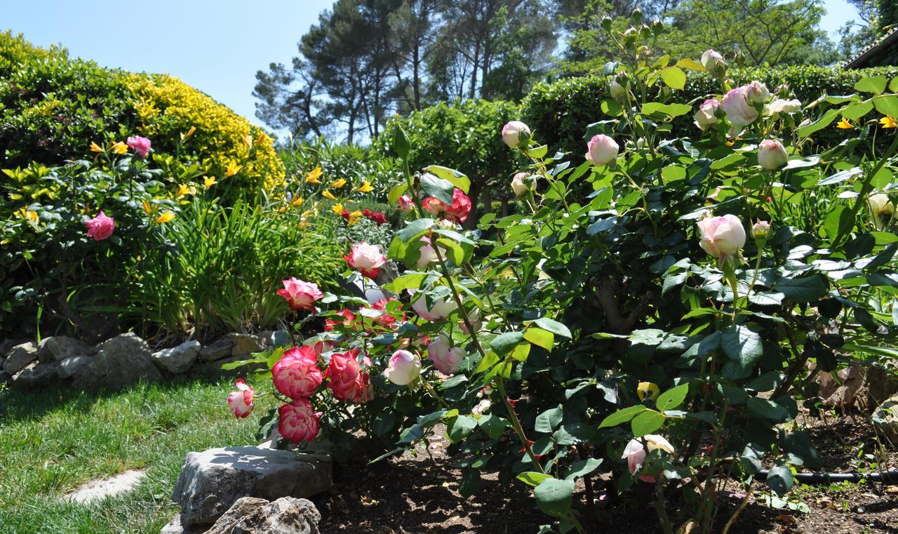 La Begude Du Pascouren Fayence Exterior foto
